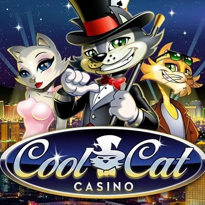 CatSpins Casino Download aus dem Play Store: Einfach oder nicht?